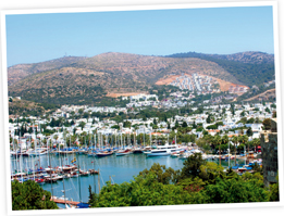 Meet the furniture supplier - bodrum